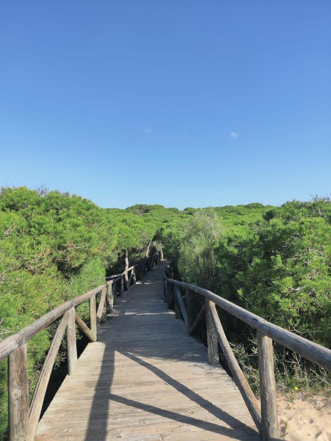 דירות רוטה Atico Al Sol En Primera Linea De Playa מראה חיצוני תמונה